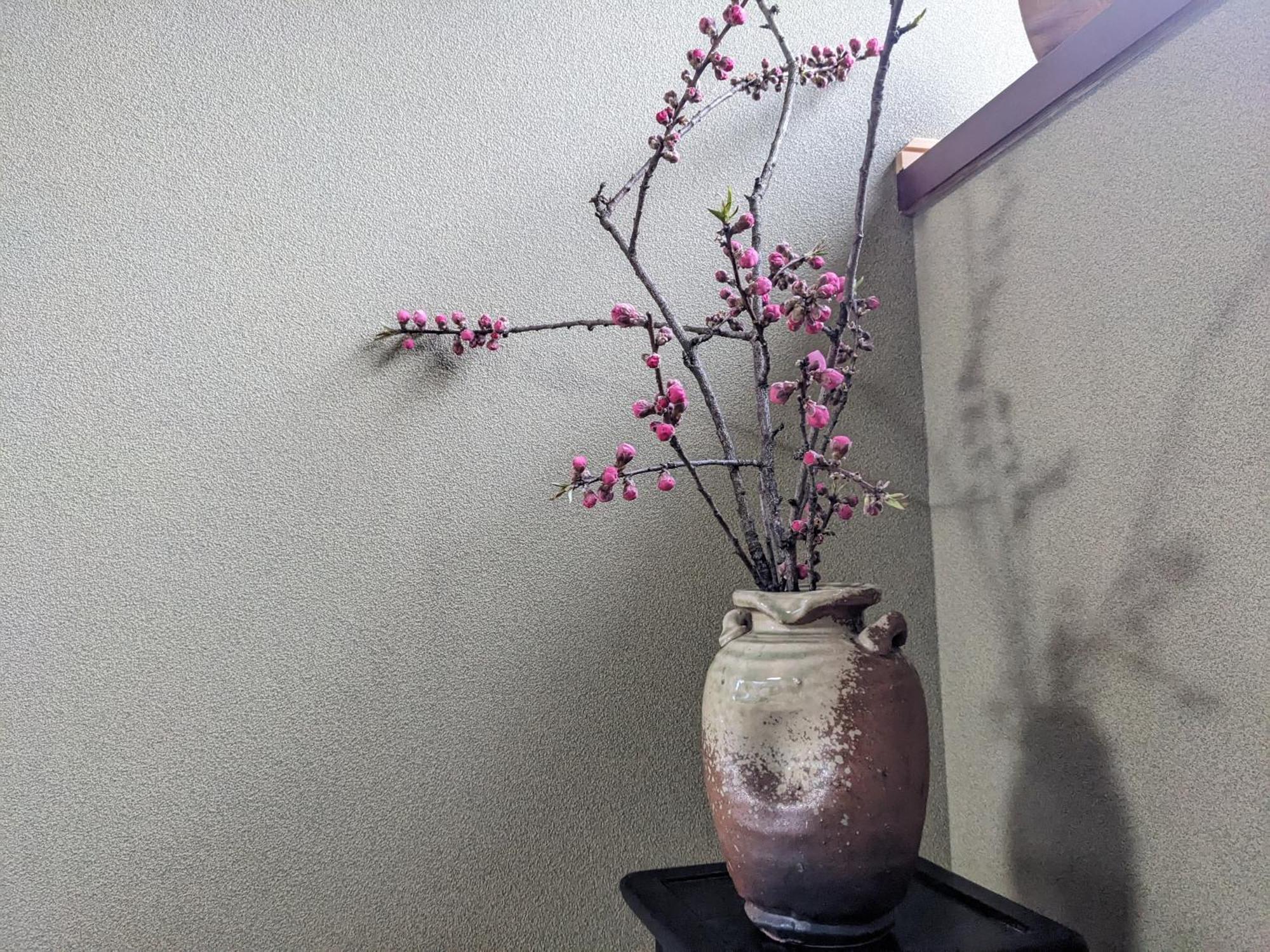 Farm Stay Inn Sanzaemon-Tei 母屋guesthouse Shiga-Takasima Traditional Japanese Architecture House Ngoại thất bức ảnh